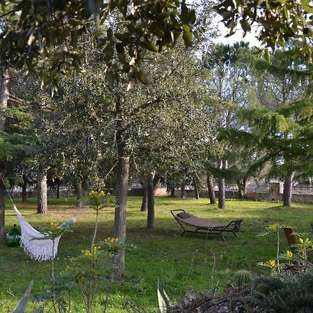 Lavanda Apartment - Villaggio Di Mary Locorotondo Exterior photo
